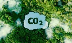 CO2-Speicher: Klimarettung in Sicht?