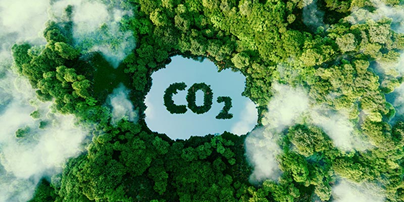 CO2-Speicher: Klimarettung in Sicht?